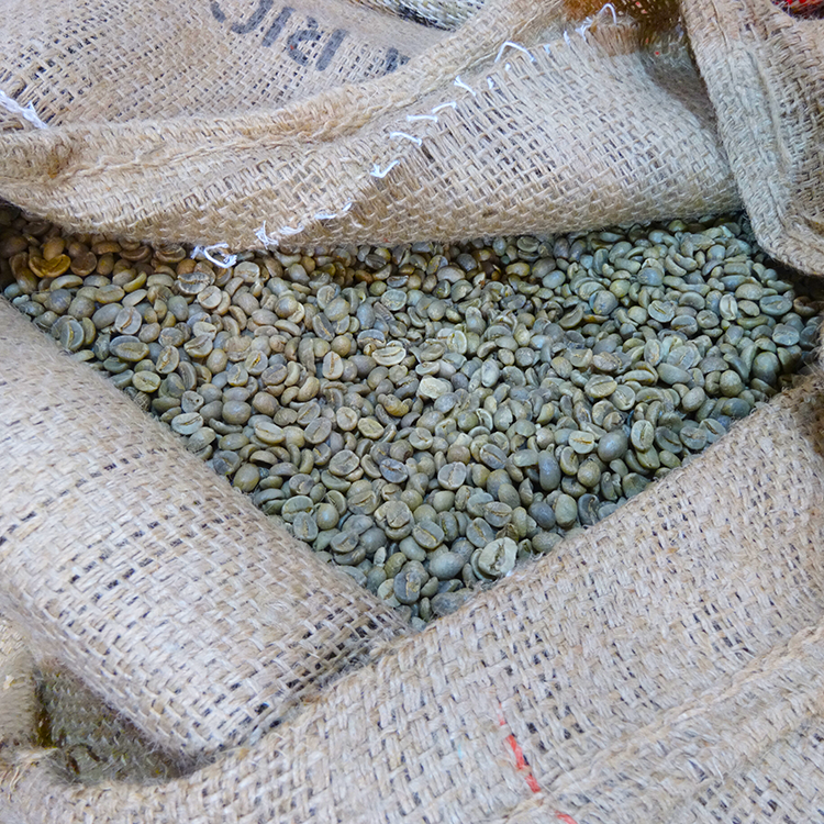 novello coffee beans fresh